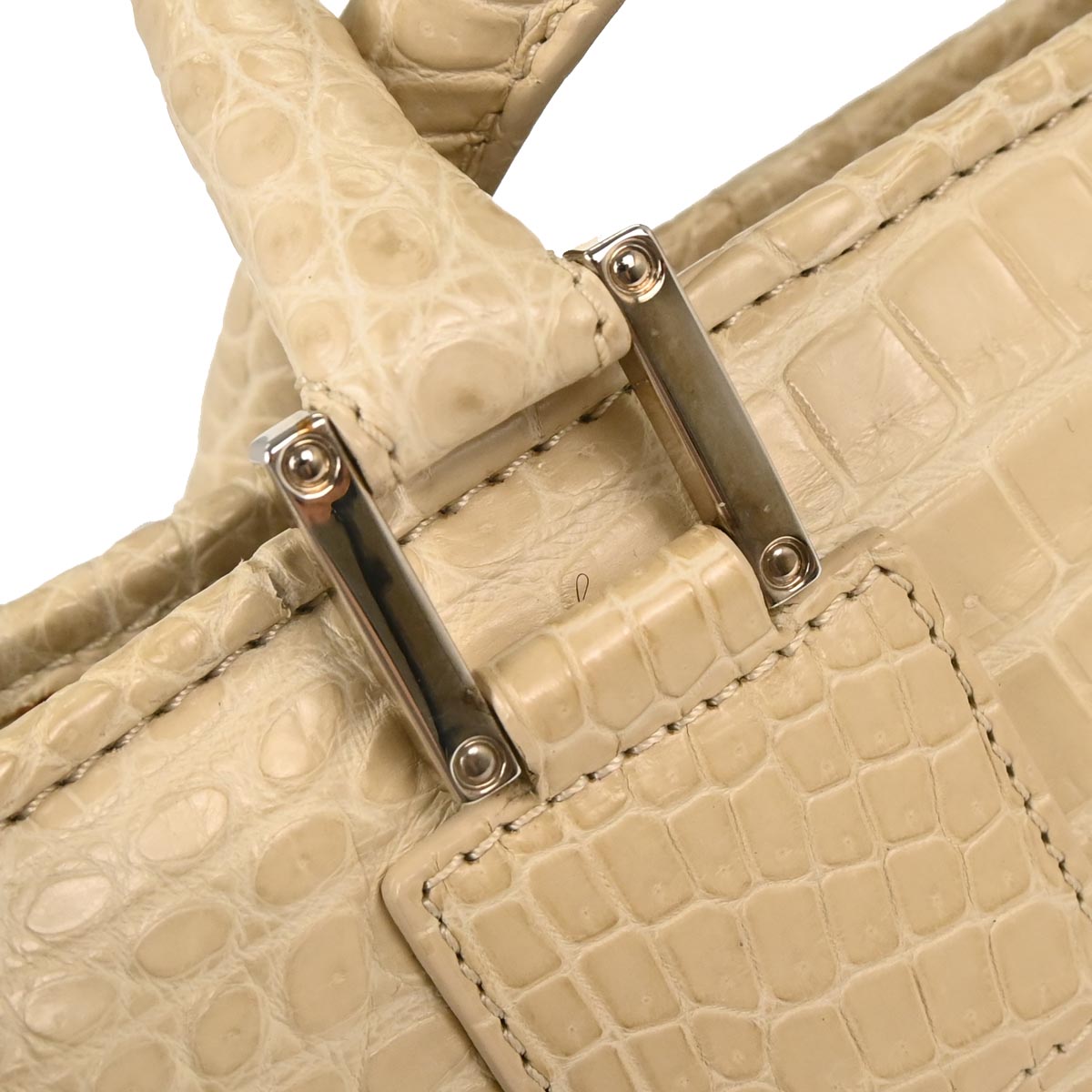 Loewe * Off-white Crocodile Amazona 36 Handbag