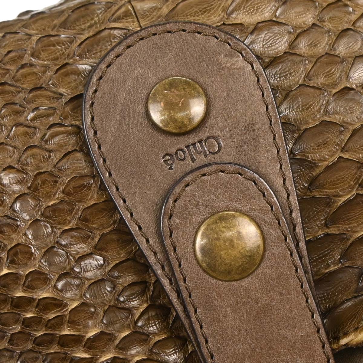 Chloe * Brown Python Silverado Handbag