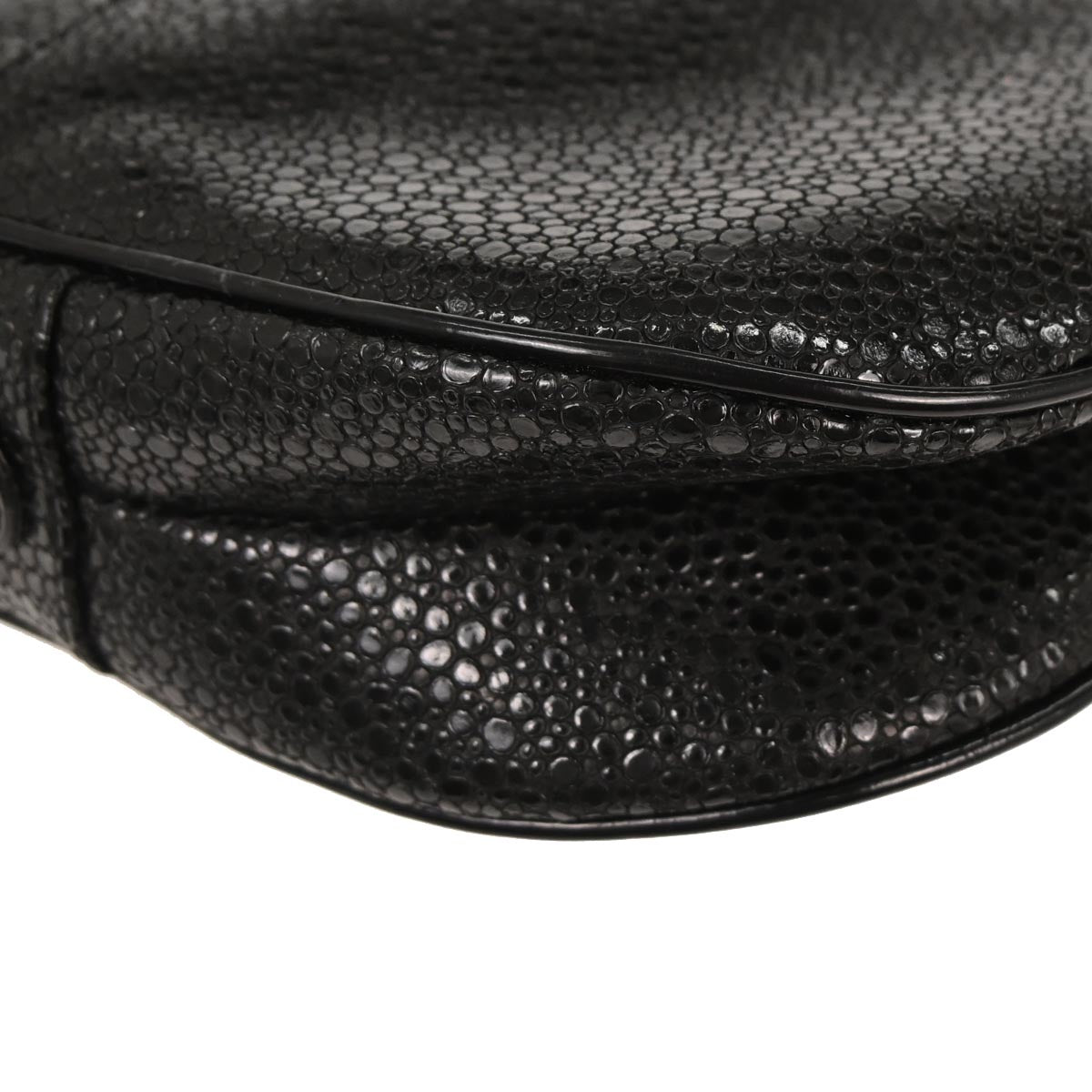 Christian Dior * Black Galuchat Stingray Double Saddle Handbag