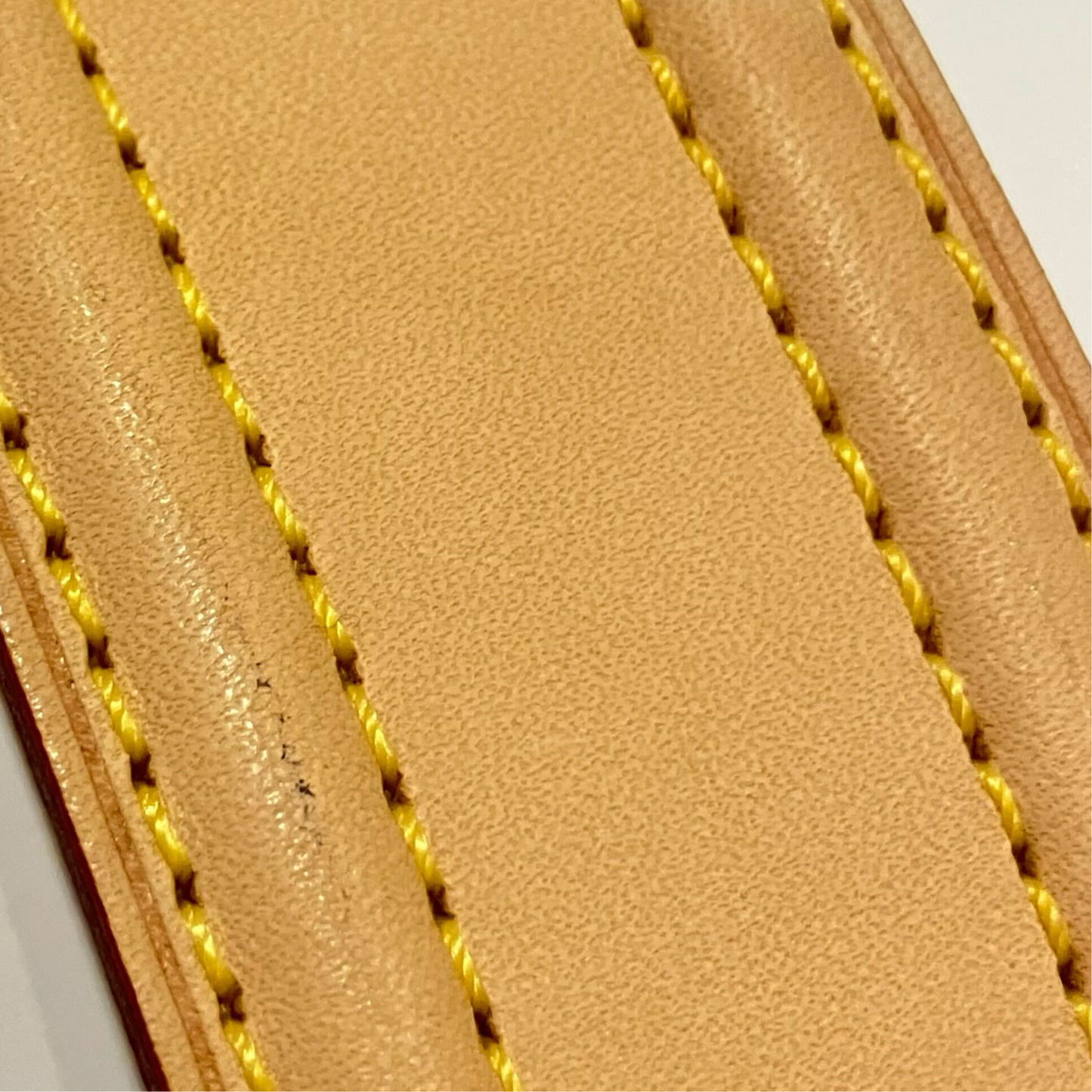 Louis Vuitton 2004 Monogram Viva Cite GM Handbag M51163