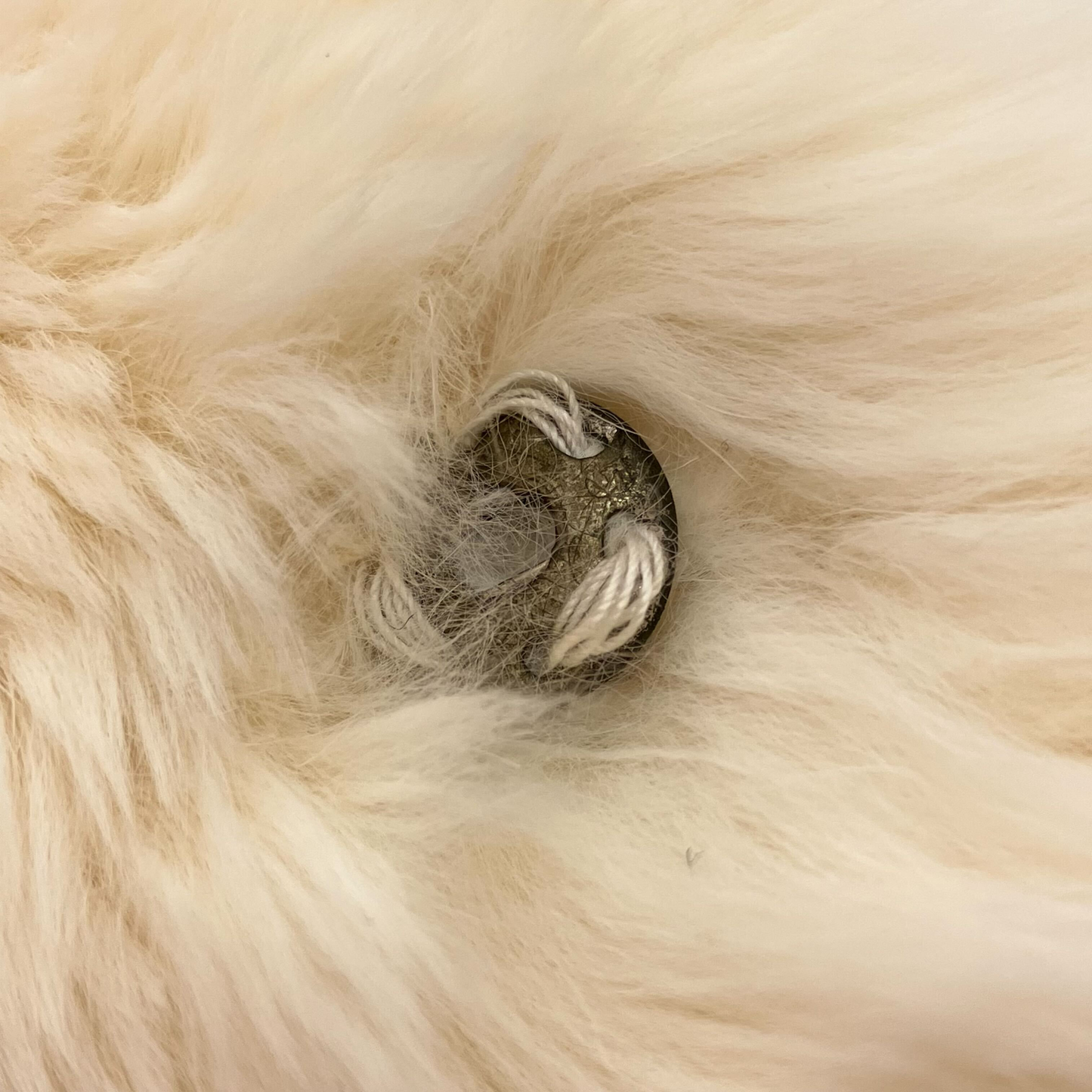 Chanel Fur Shawl Muffler Stole White Small Good