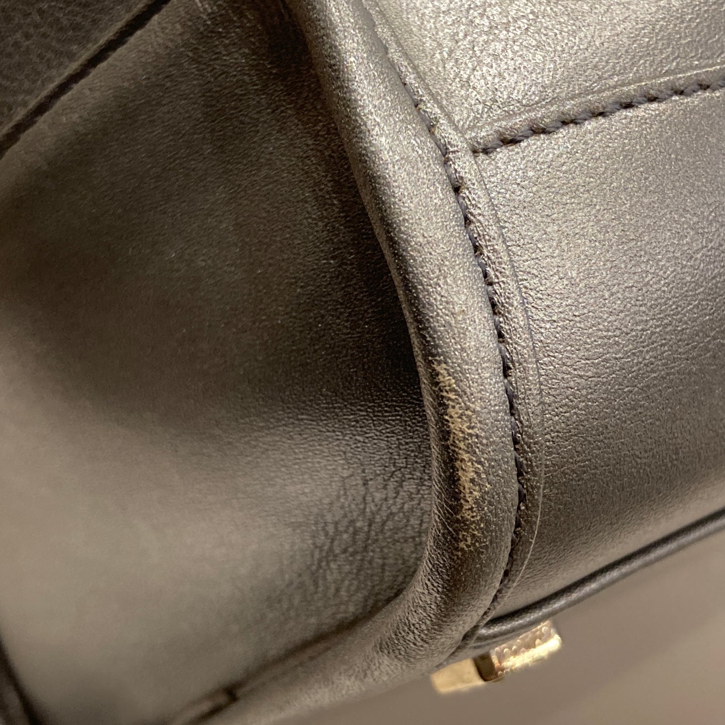 Loewe Silver Lambskin Amazona 28 Handbag