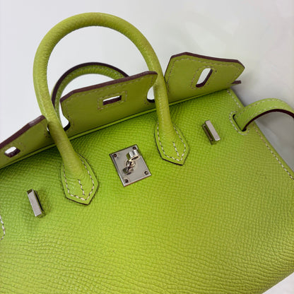 Hermes 2010 Kiwi Epsom Tiny Birkin 15 Shoulder Bag