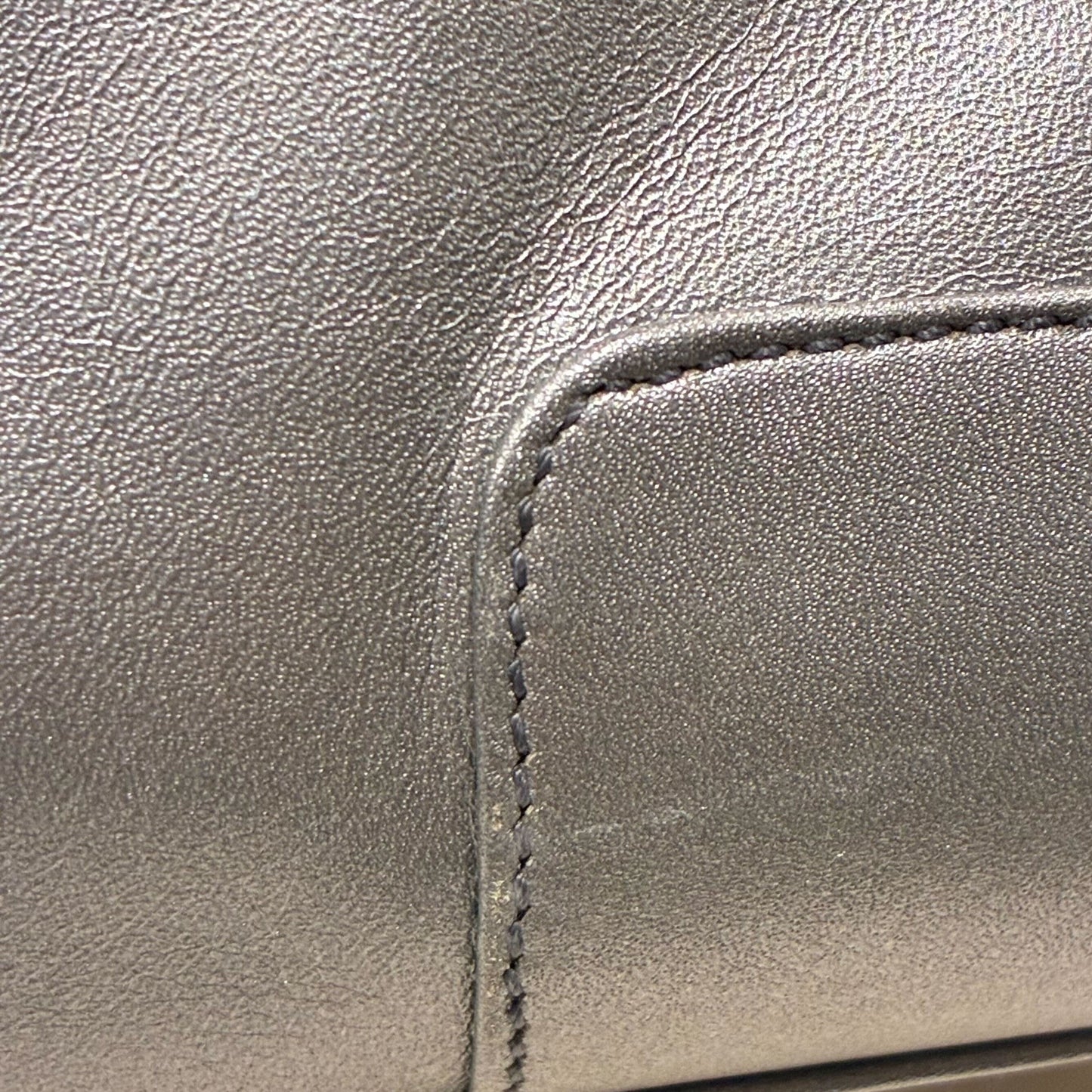 Loewe Silver Lambskin Amazona 28 Handbag