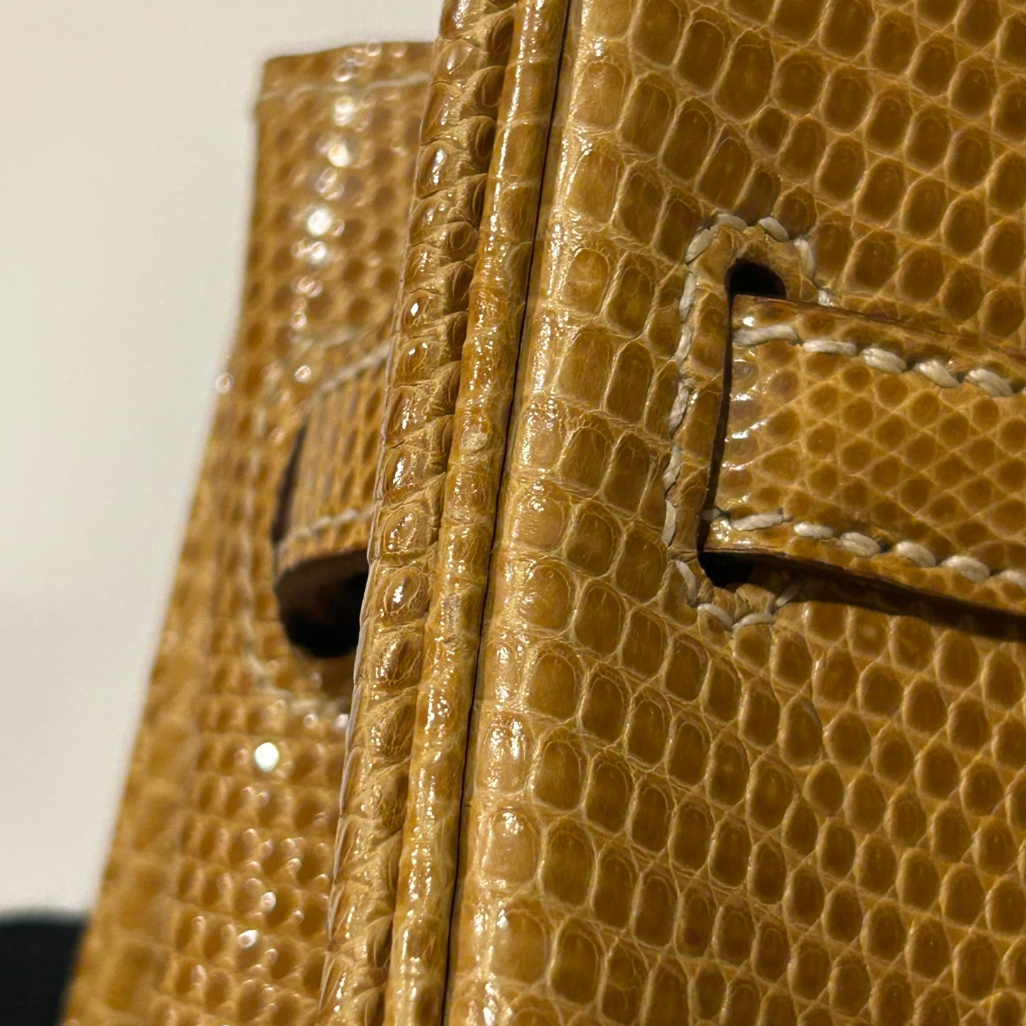 Hermes * Natural Sable Lizard Birkin 25 Handbag
