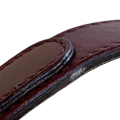 Christian Dior Bordeaux Trotter Saddle Handbag