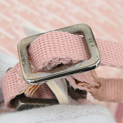 Christian Dior Pink Canvas Trotter Handbag
