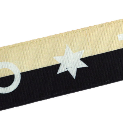 Chanel 2001皮带