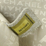 Chanel 2003-2004 Parfait Printed Flap Bag Medium