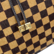 Louis Vuitton 2001 Damier Sauvage Lion M92131