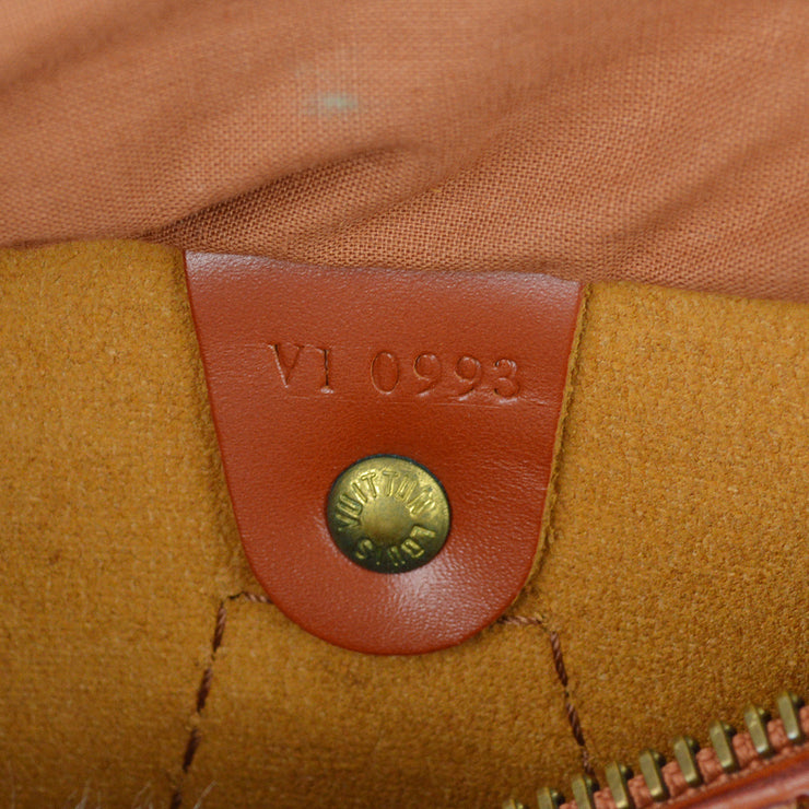 Louis Vuitton 1993 Brown Epi Speedy 25 Handbag M43013